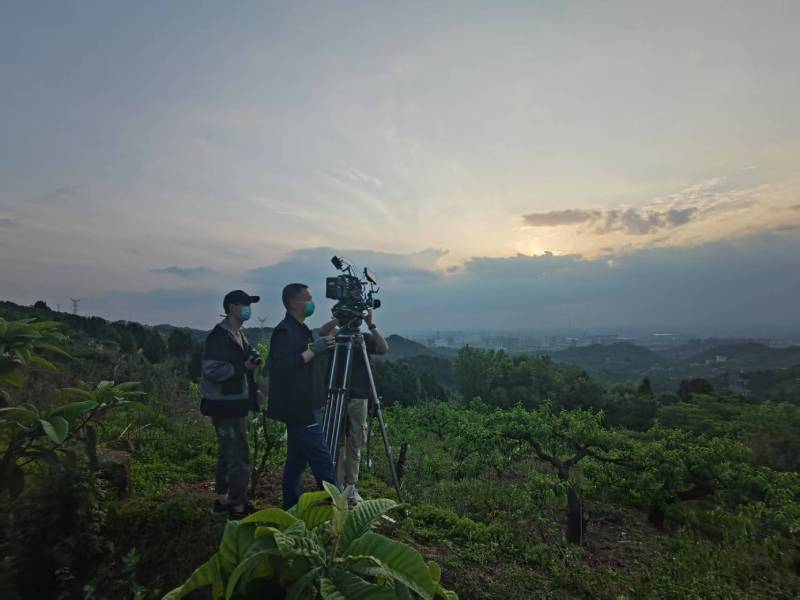 创意破圈！尧都区电商产品宣传视频用故事化叙事引爆流量