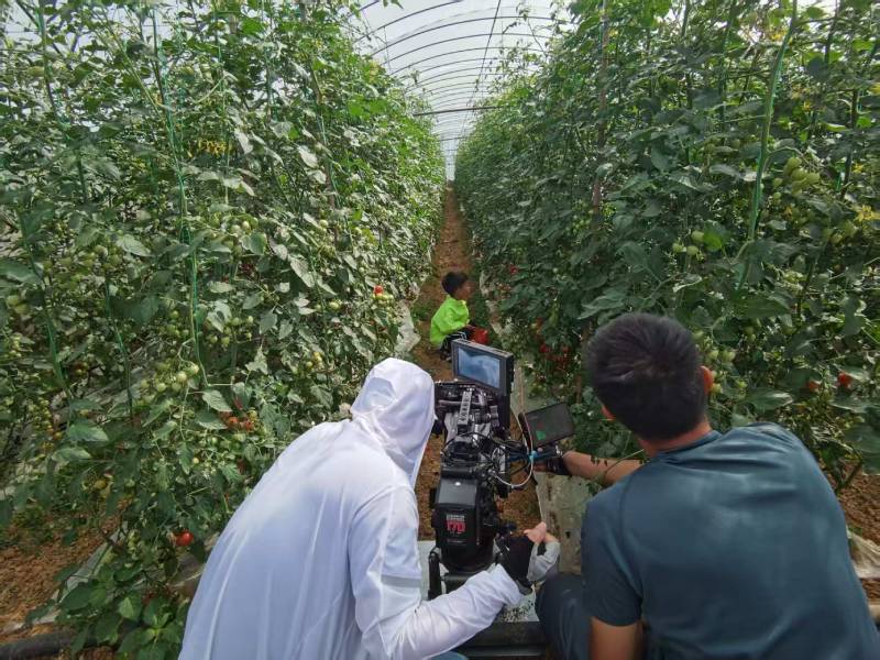 尧都区产品宣传视频拍摄公司进阶指南，助力品牌抢占传播高地